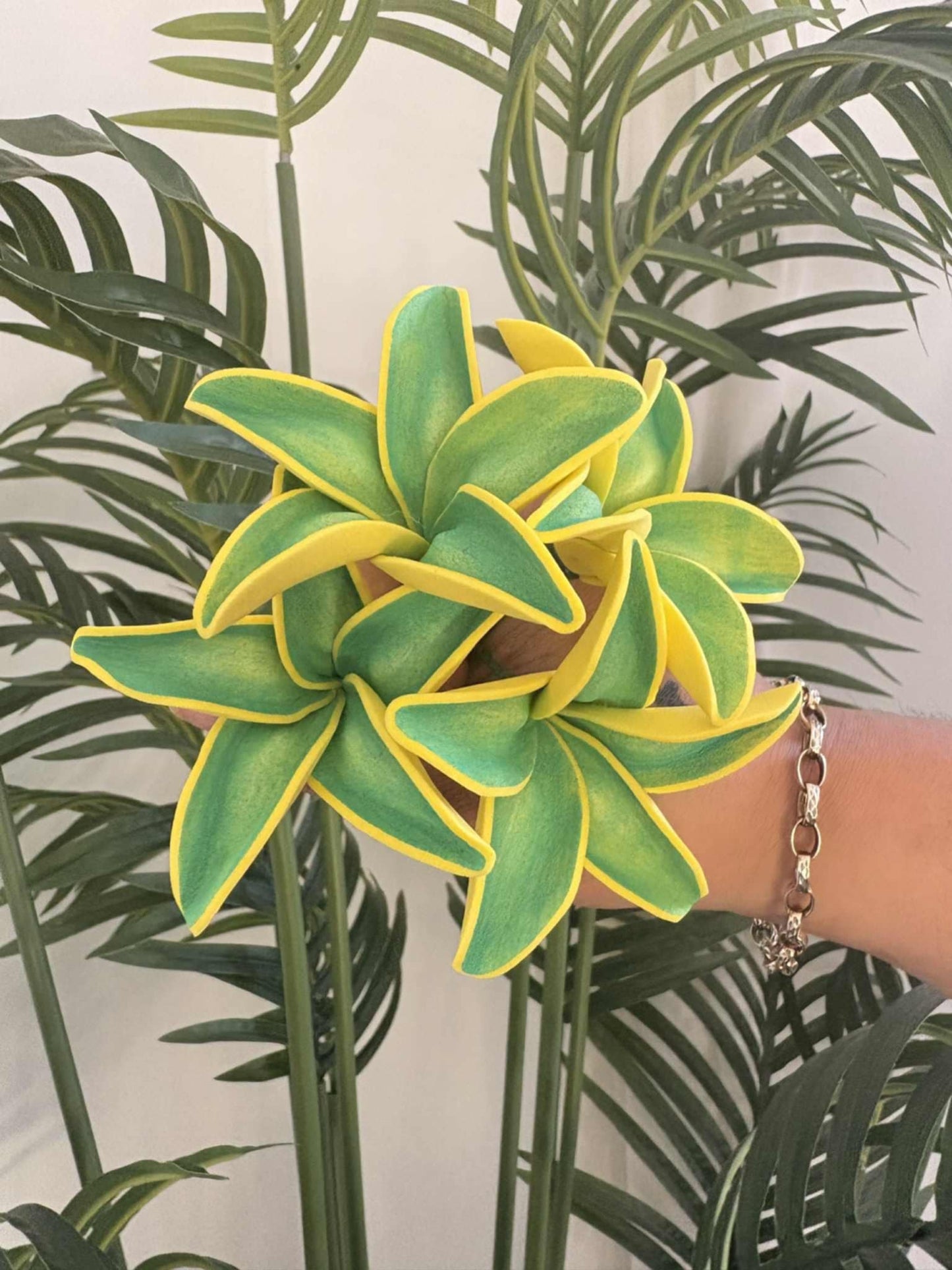 Plumeria sei (small)