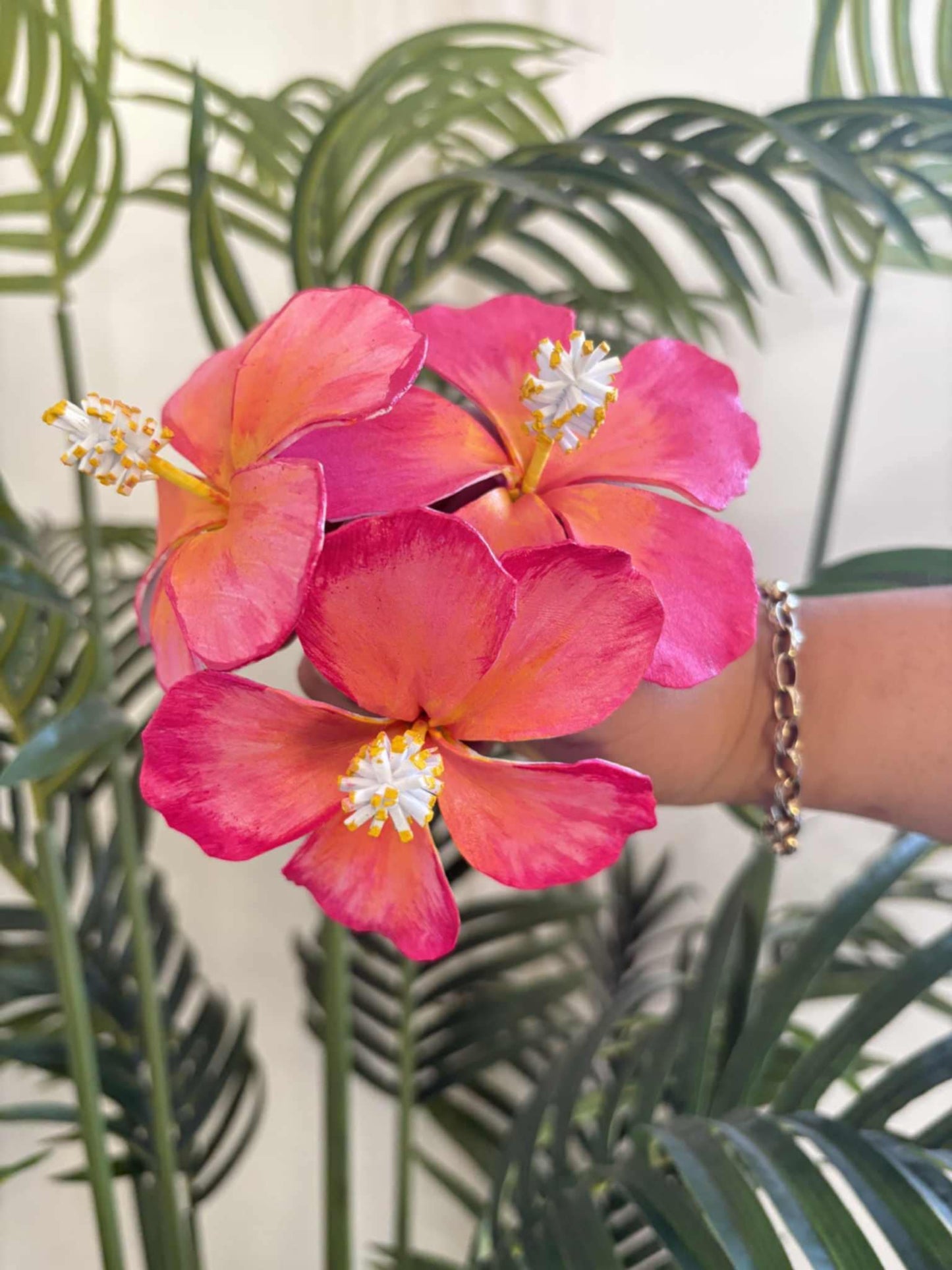 Hibiscus sei (medium)
