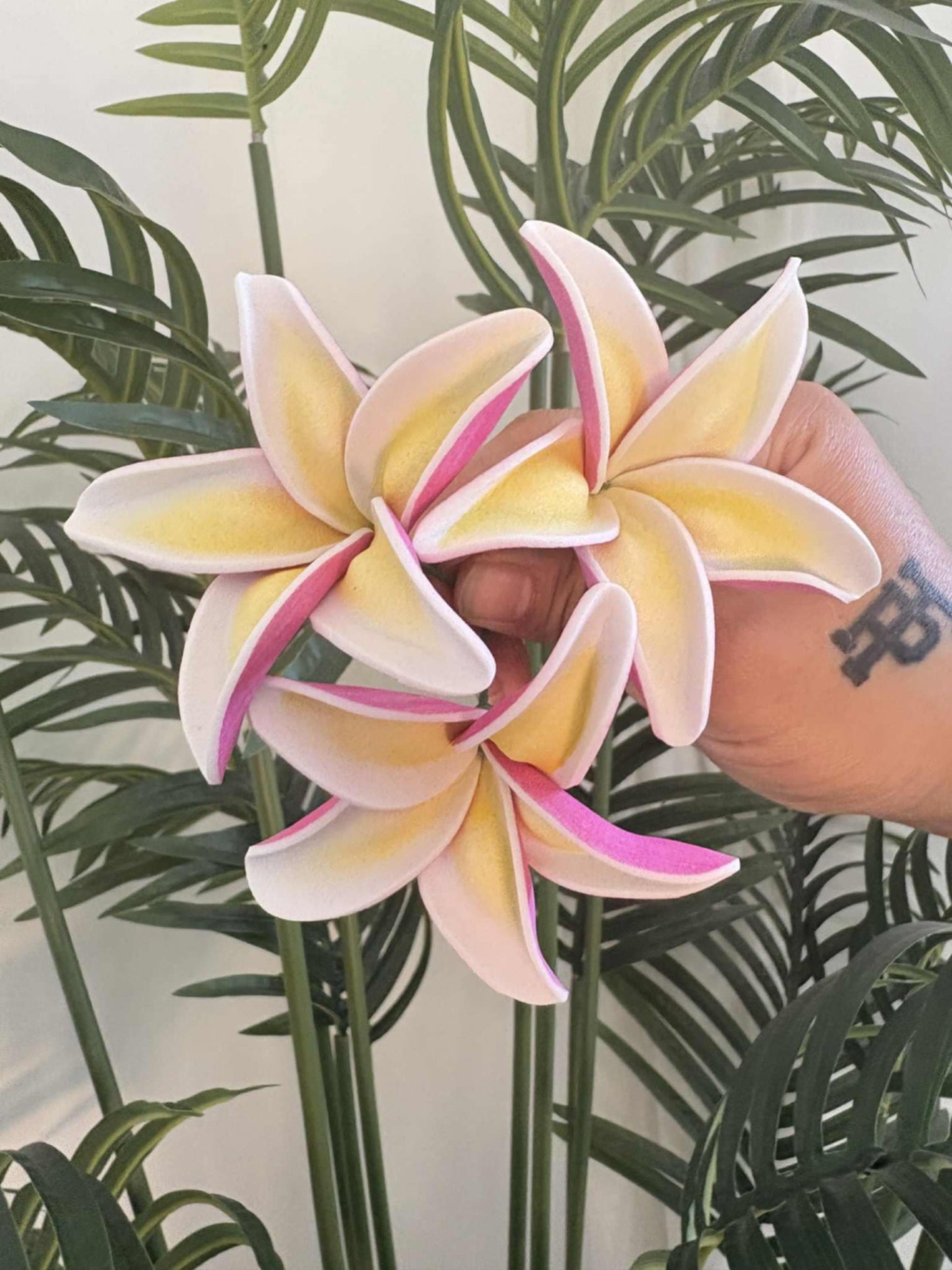 Plumeria sei (small)
