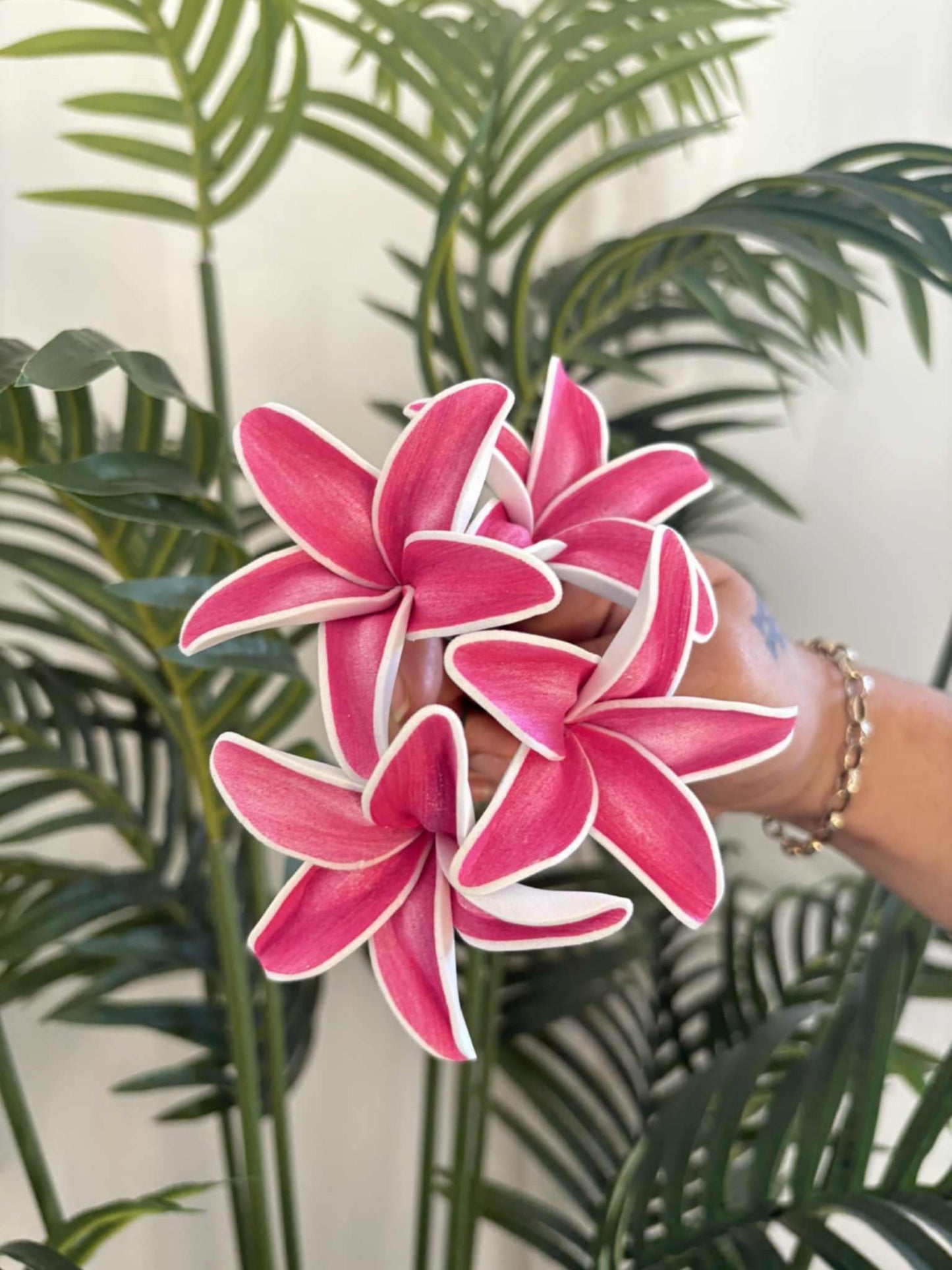 Plumeria sei (small)