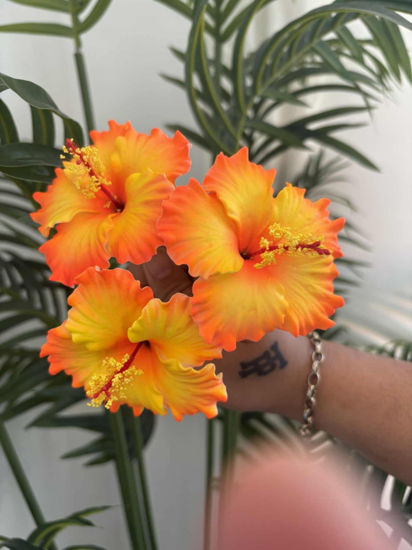 Hibiscus sei (small)