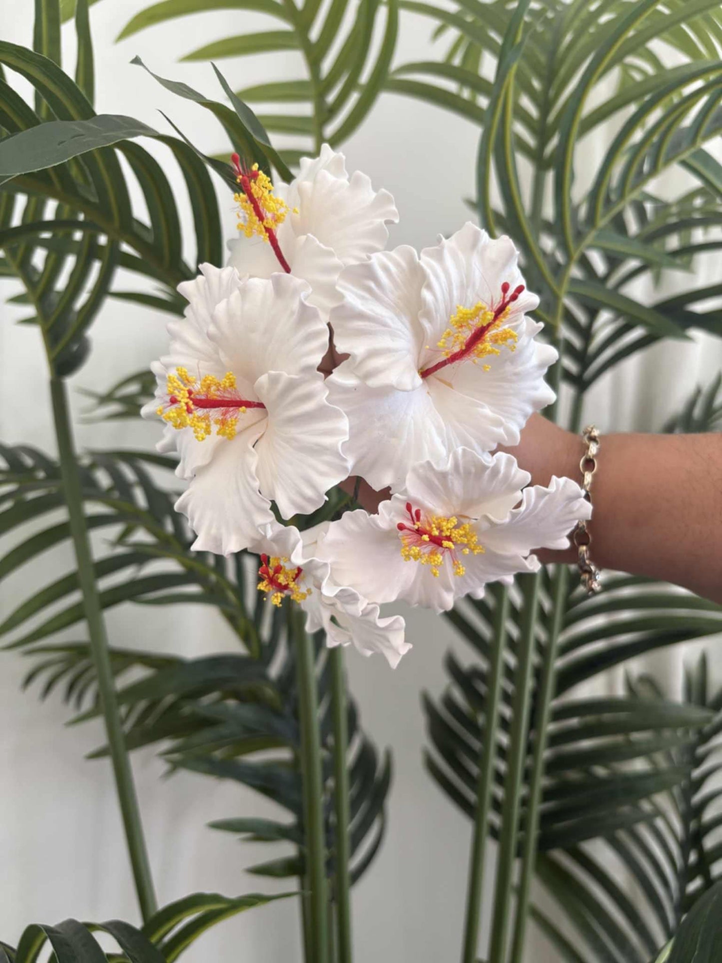 Hibiscus sei (small)