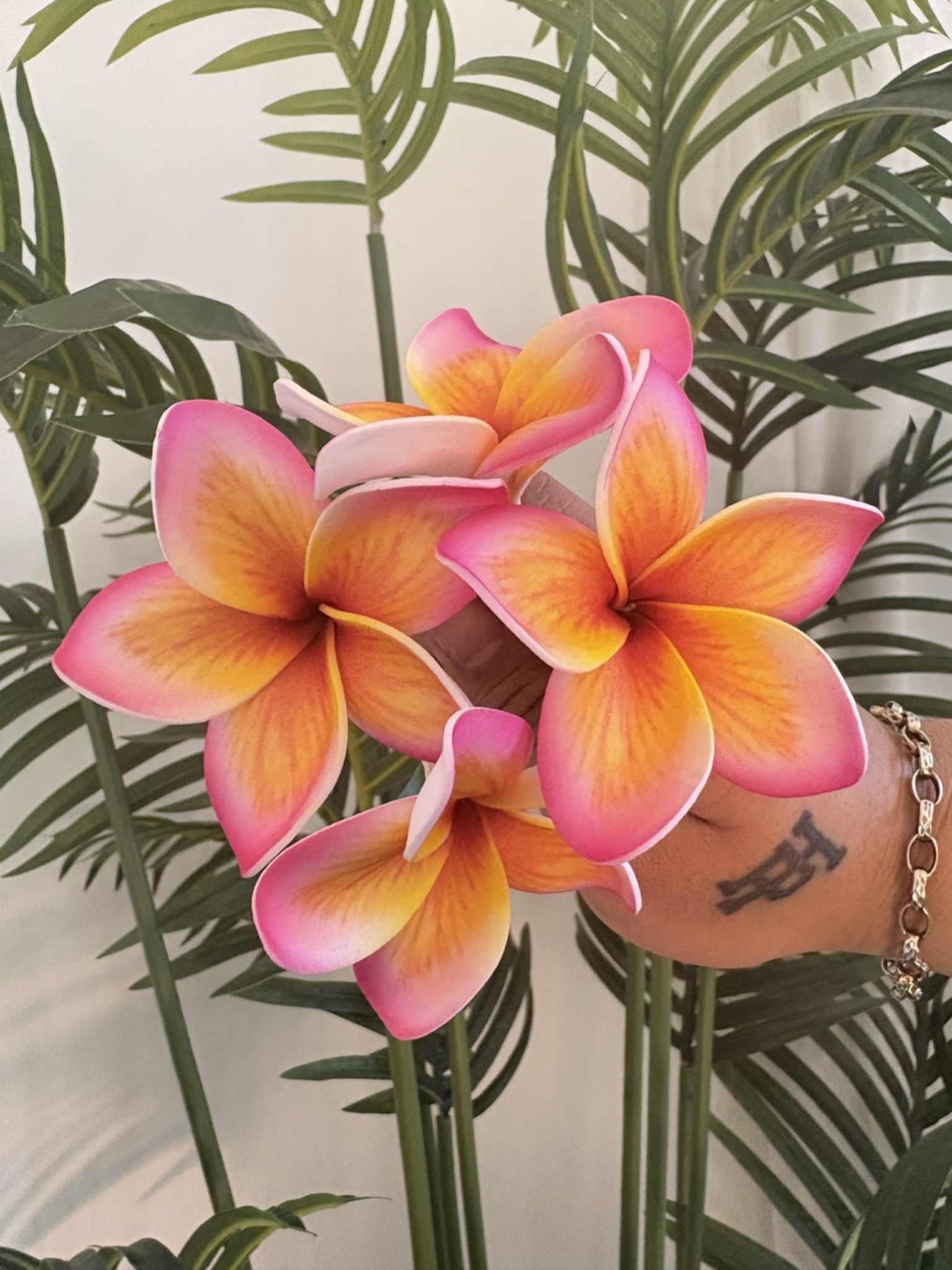 Plumeria sei (small)