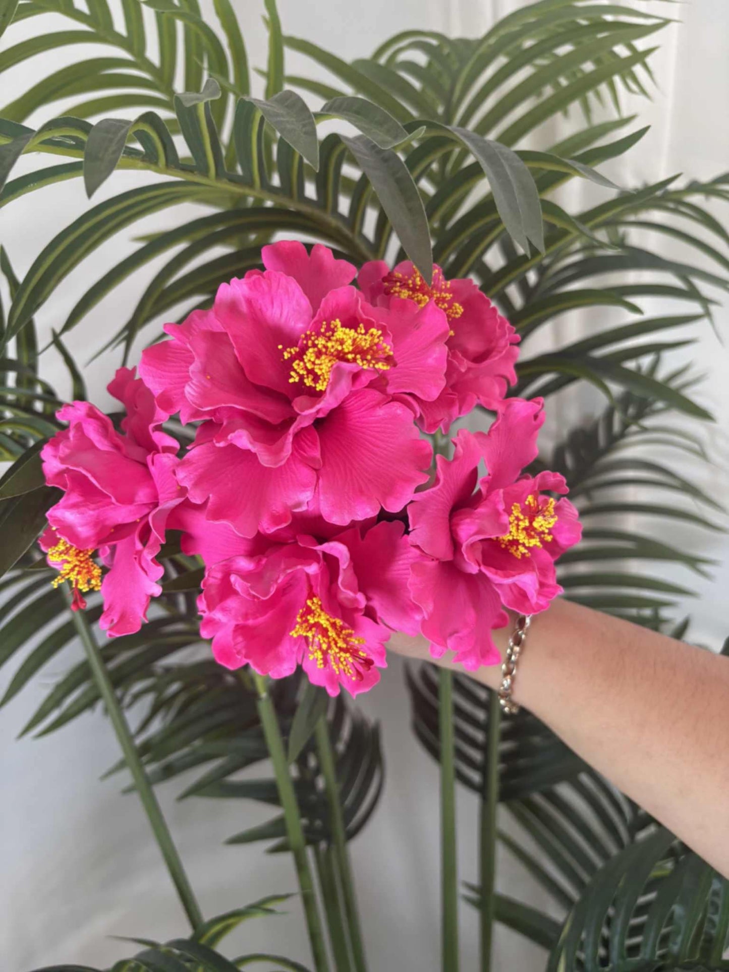 Double hibiscus sei