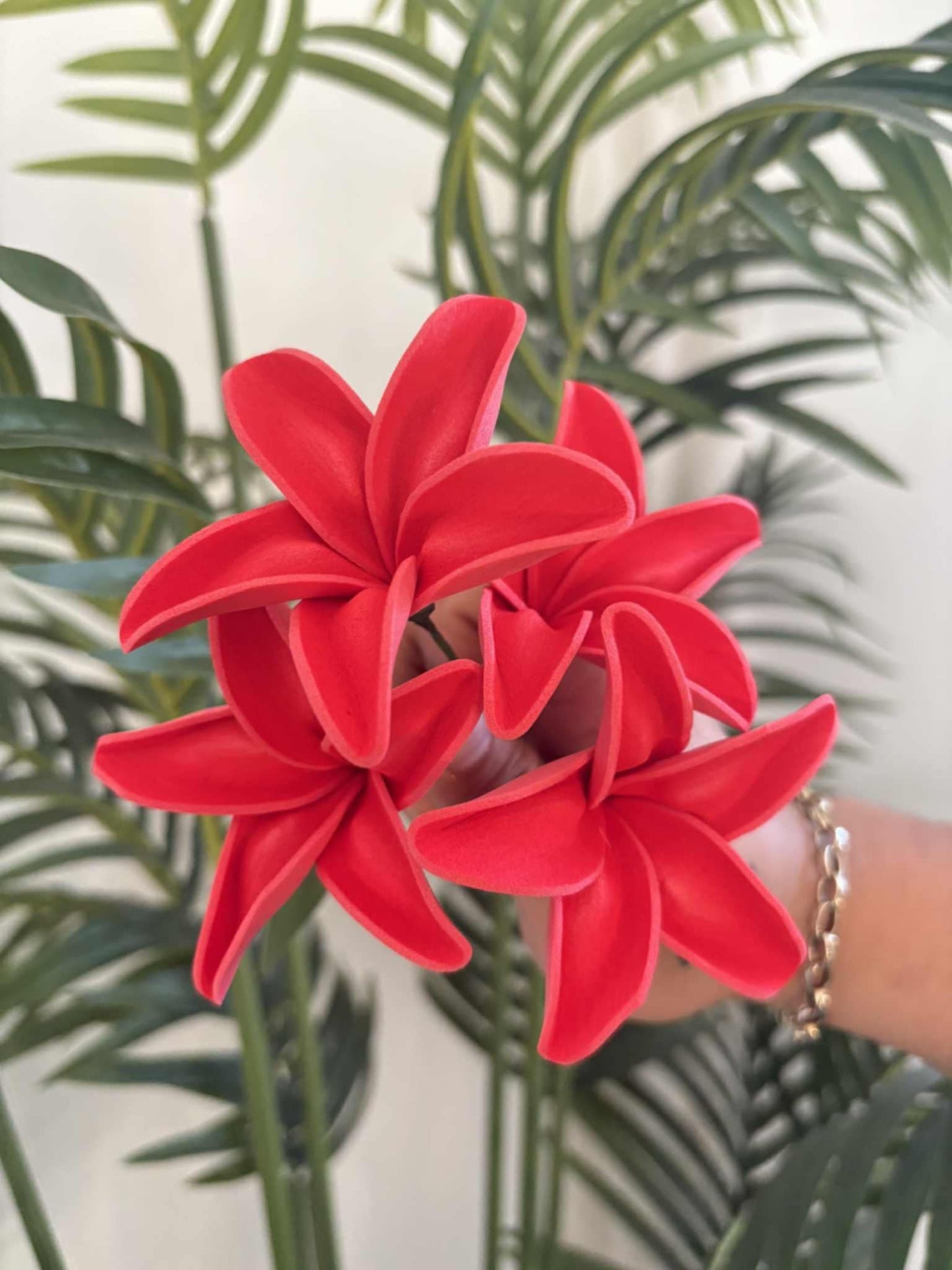 Plumeria sei (small)
