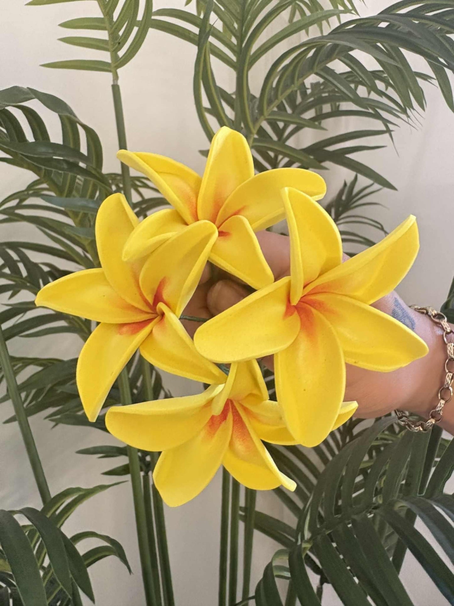 Plumeria sei (small)