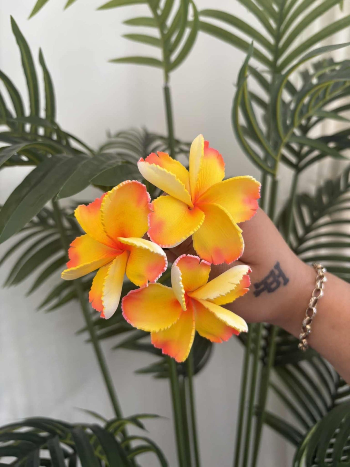 Plumeria sei (small)