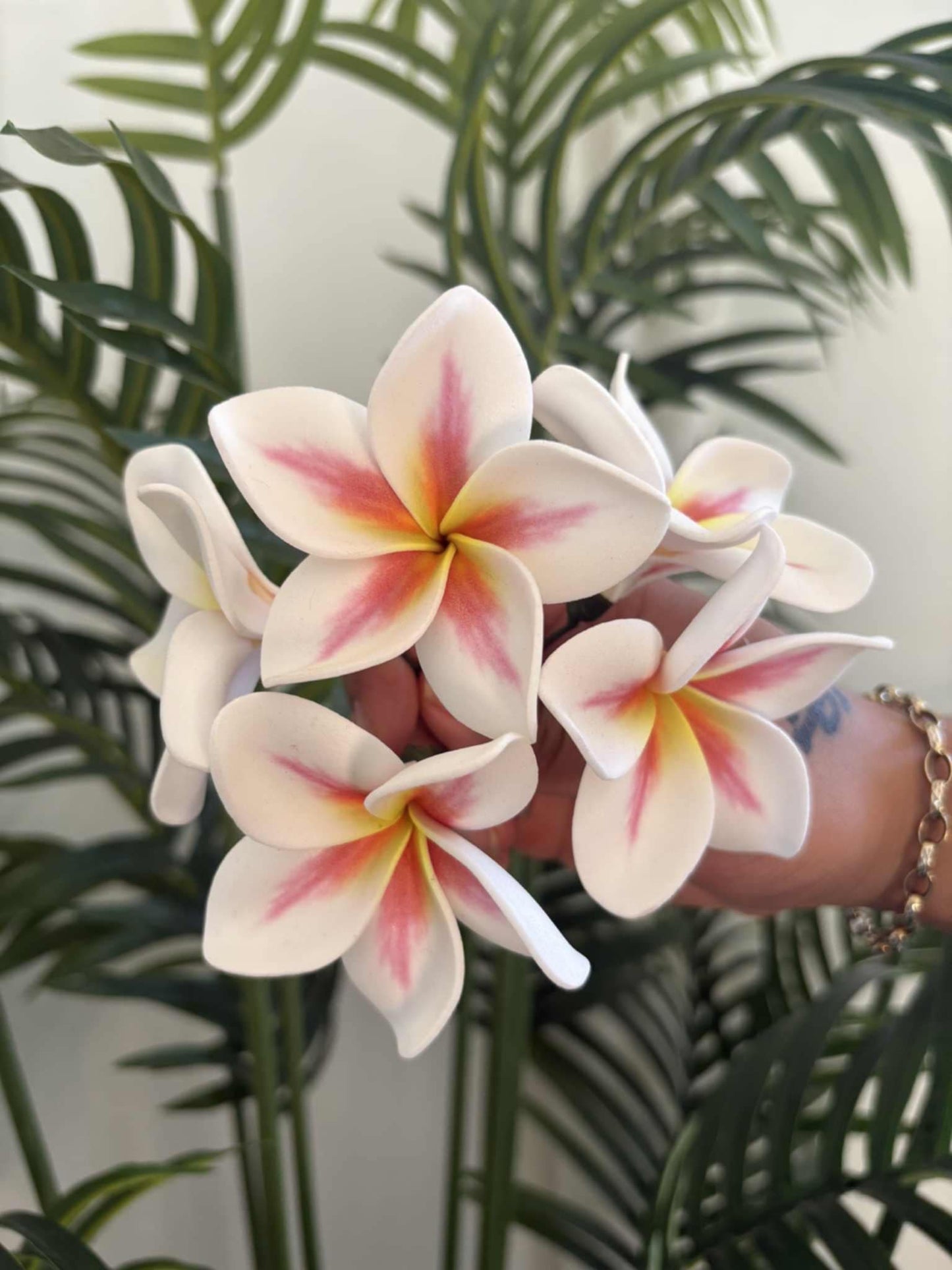 Plumeria sei (small)