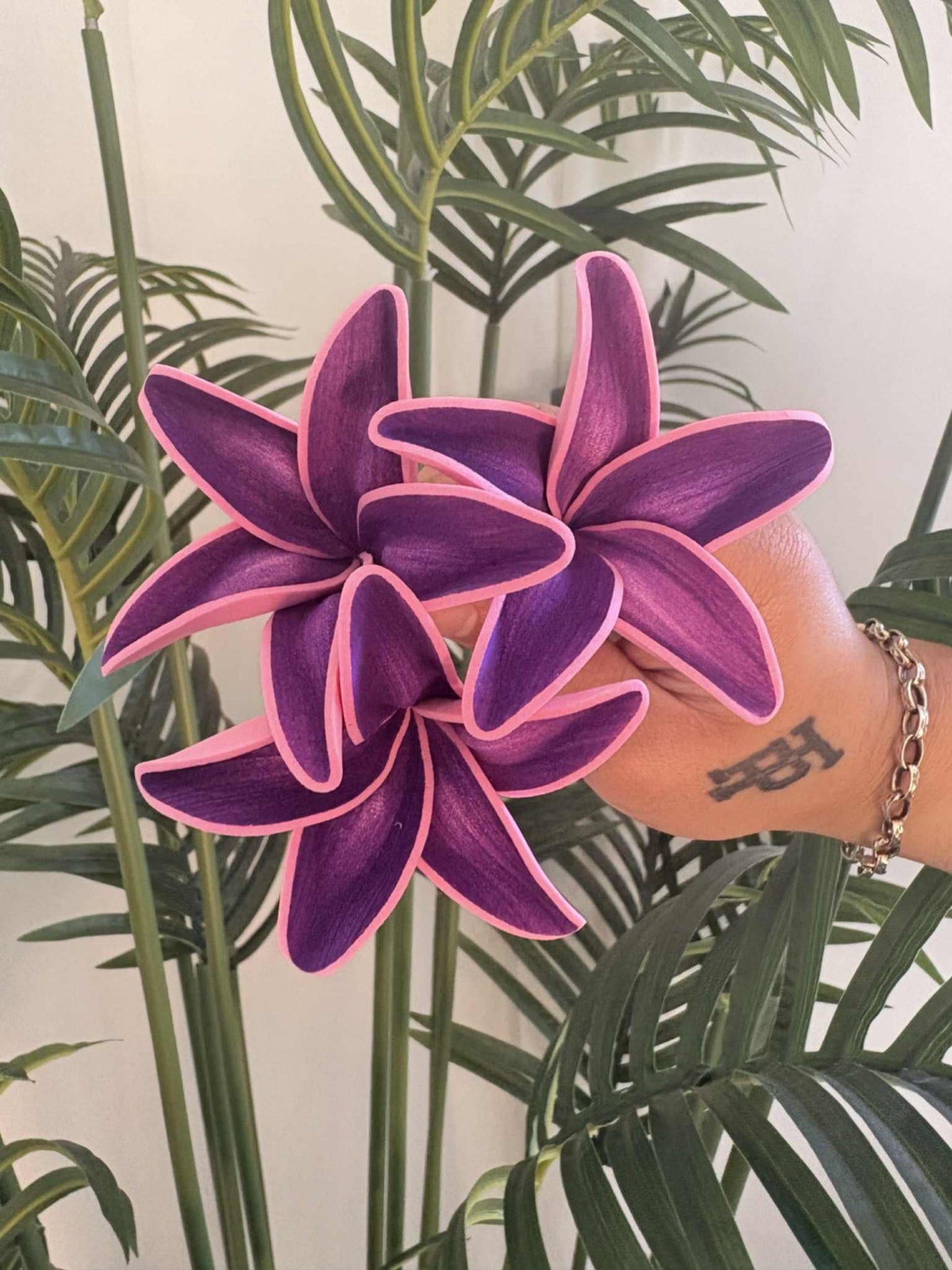 Plumeria sei (small)