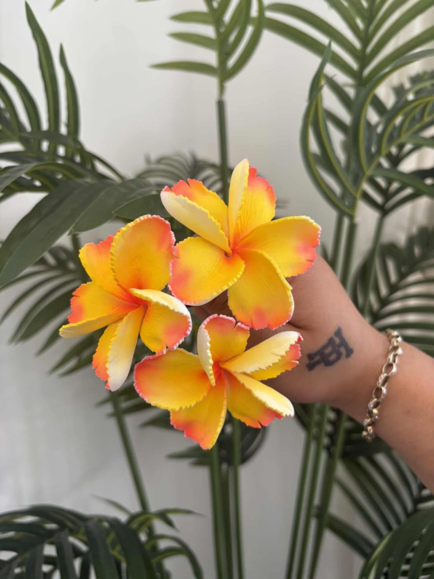 Plumeria sei (small)