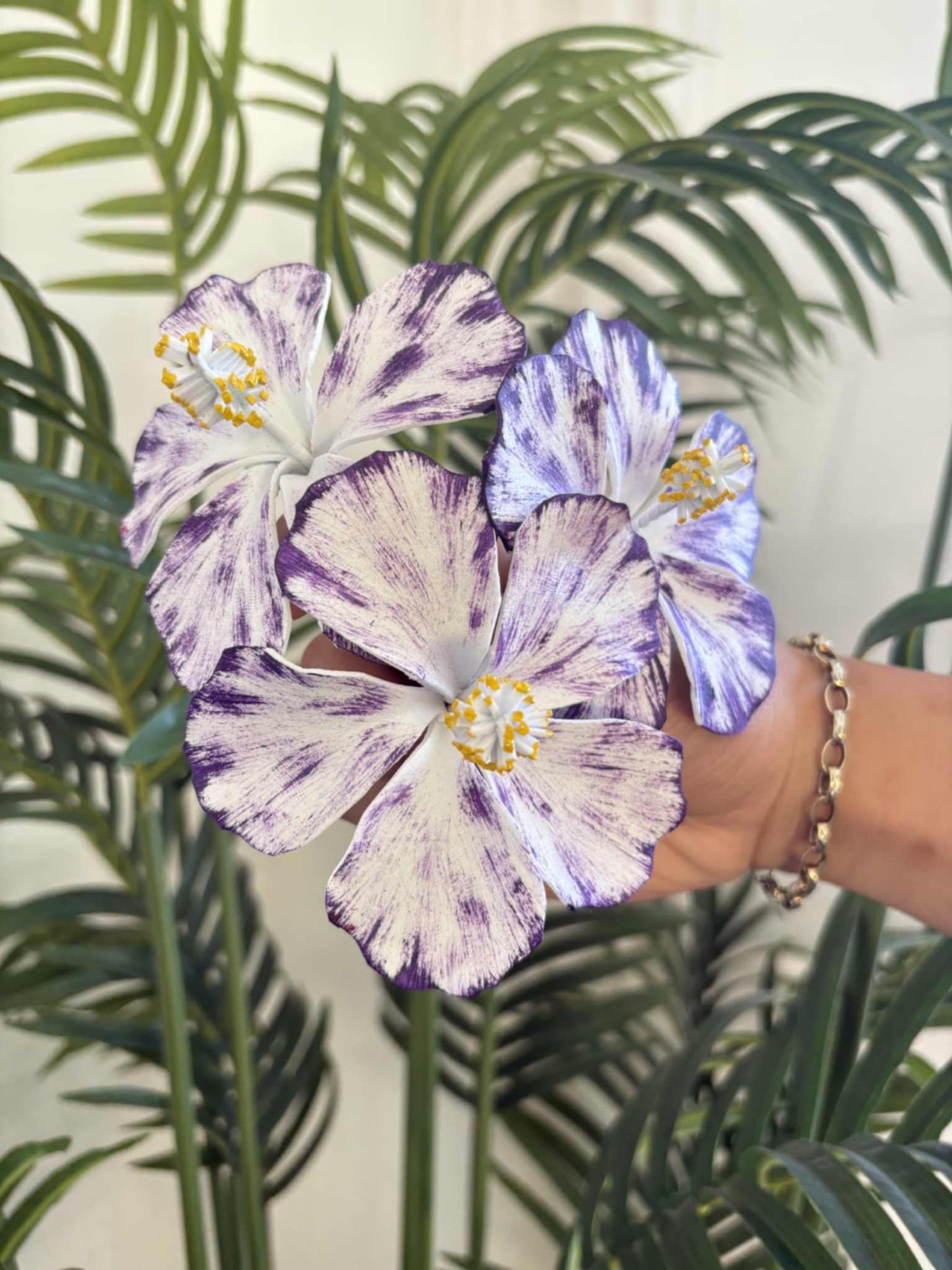 Hibiscus sei (medium)