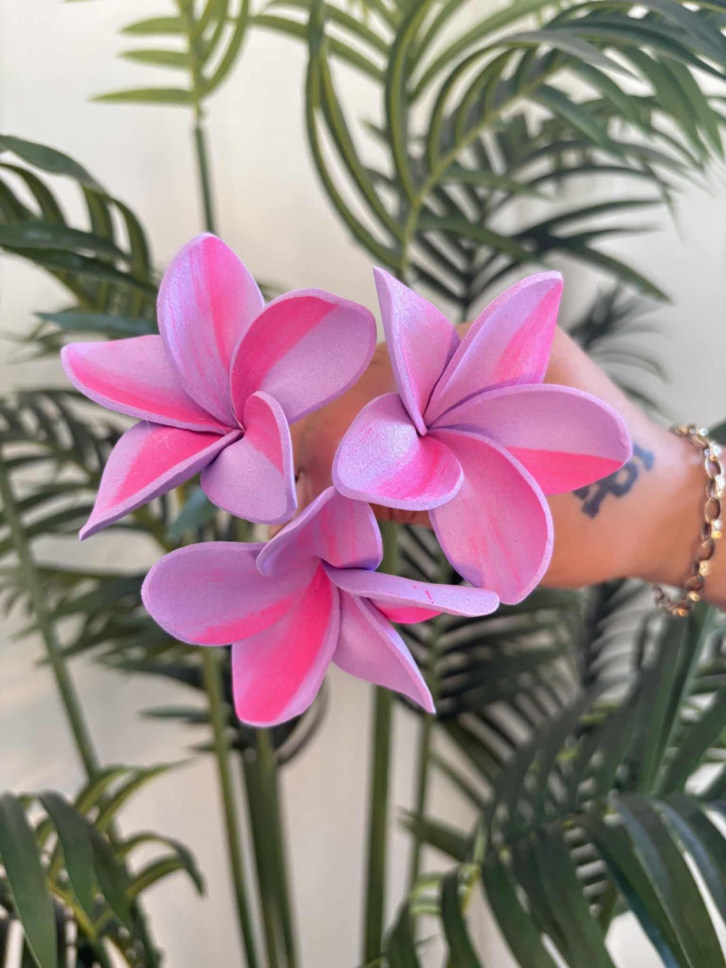 Plumeria sei (small)
