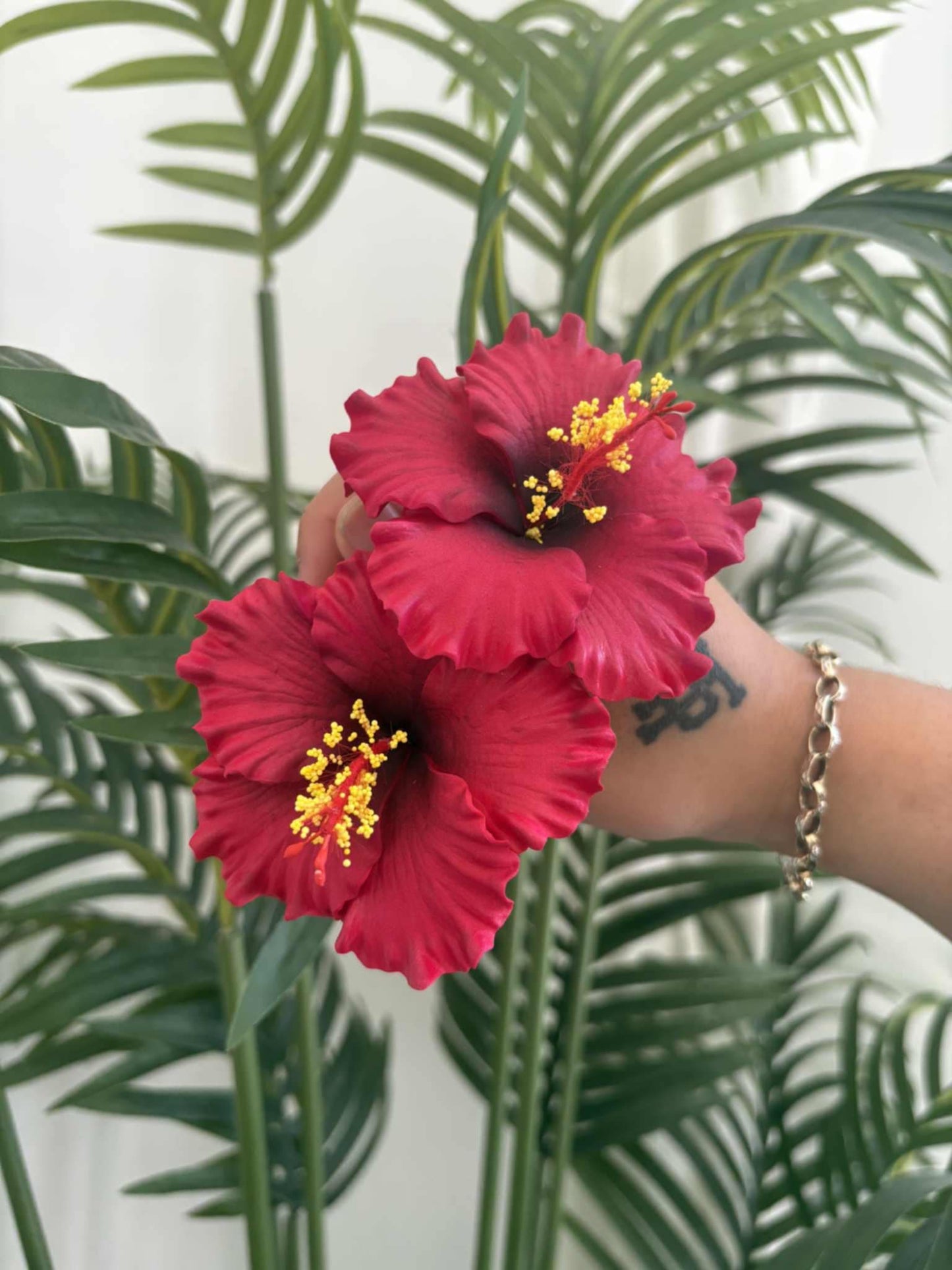 Hibiscus sei (small)