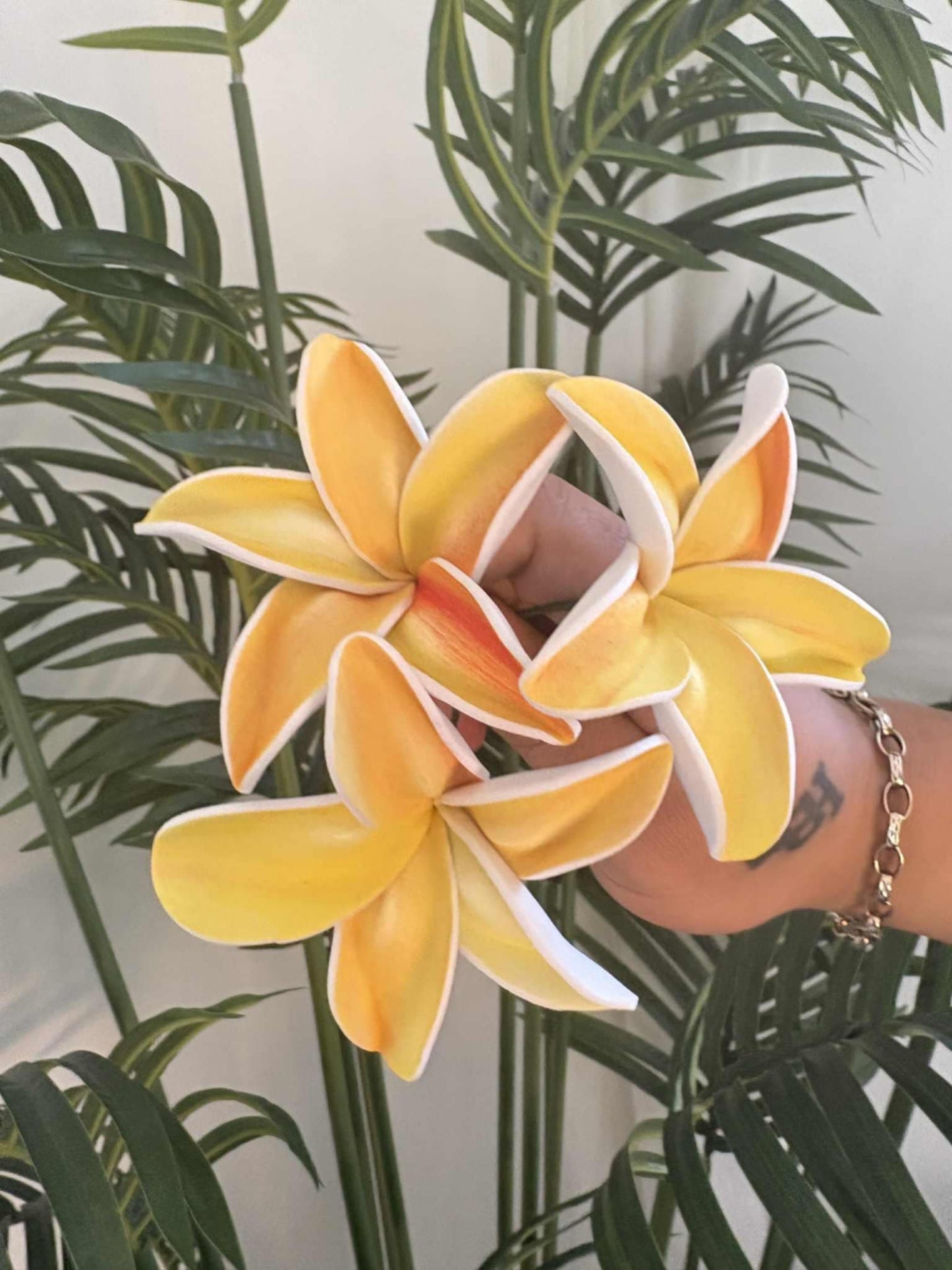 Plumeria sei (small)