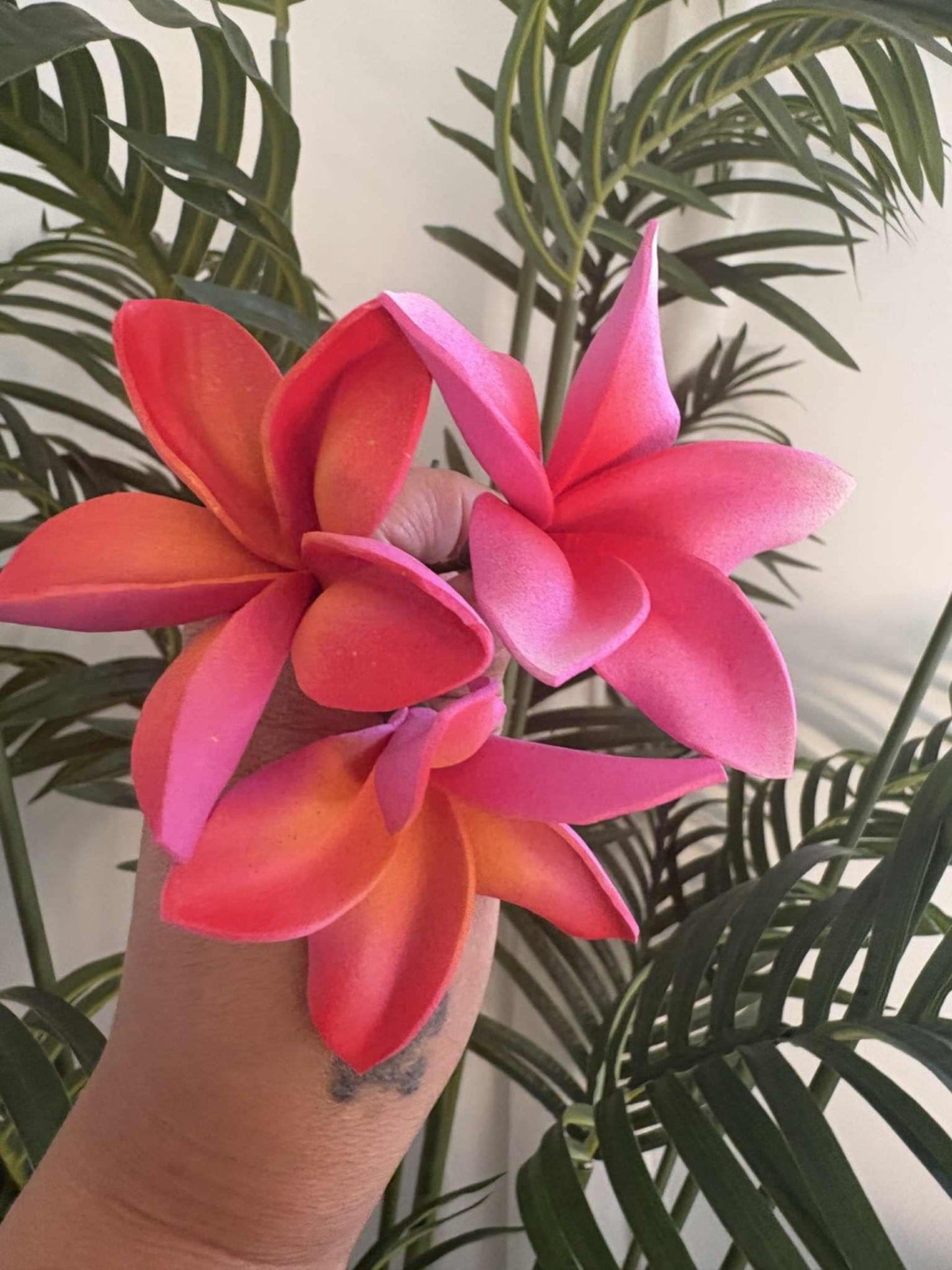 Plumeria sei (small)