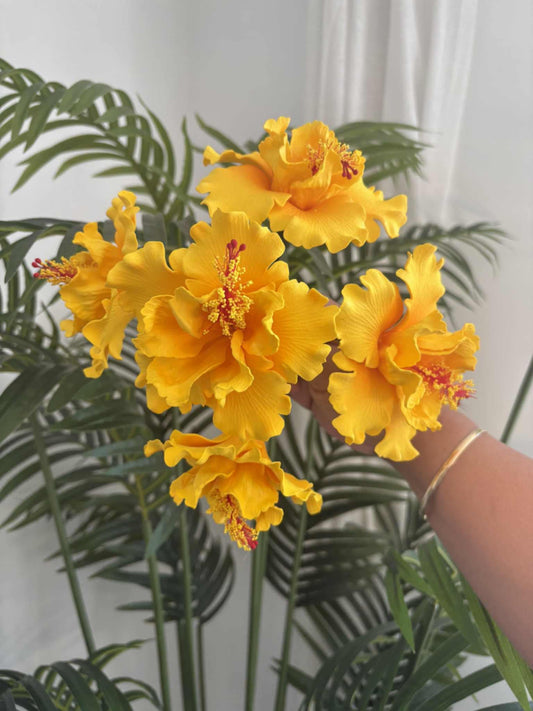 Double hibiscus sei