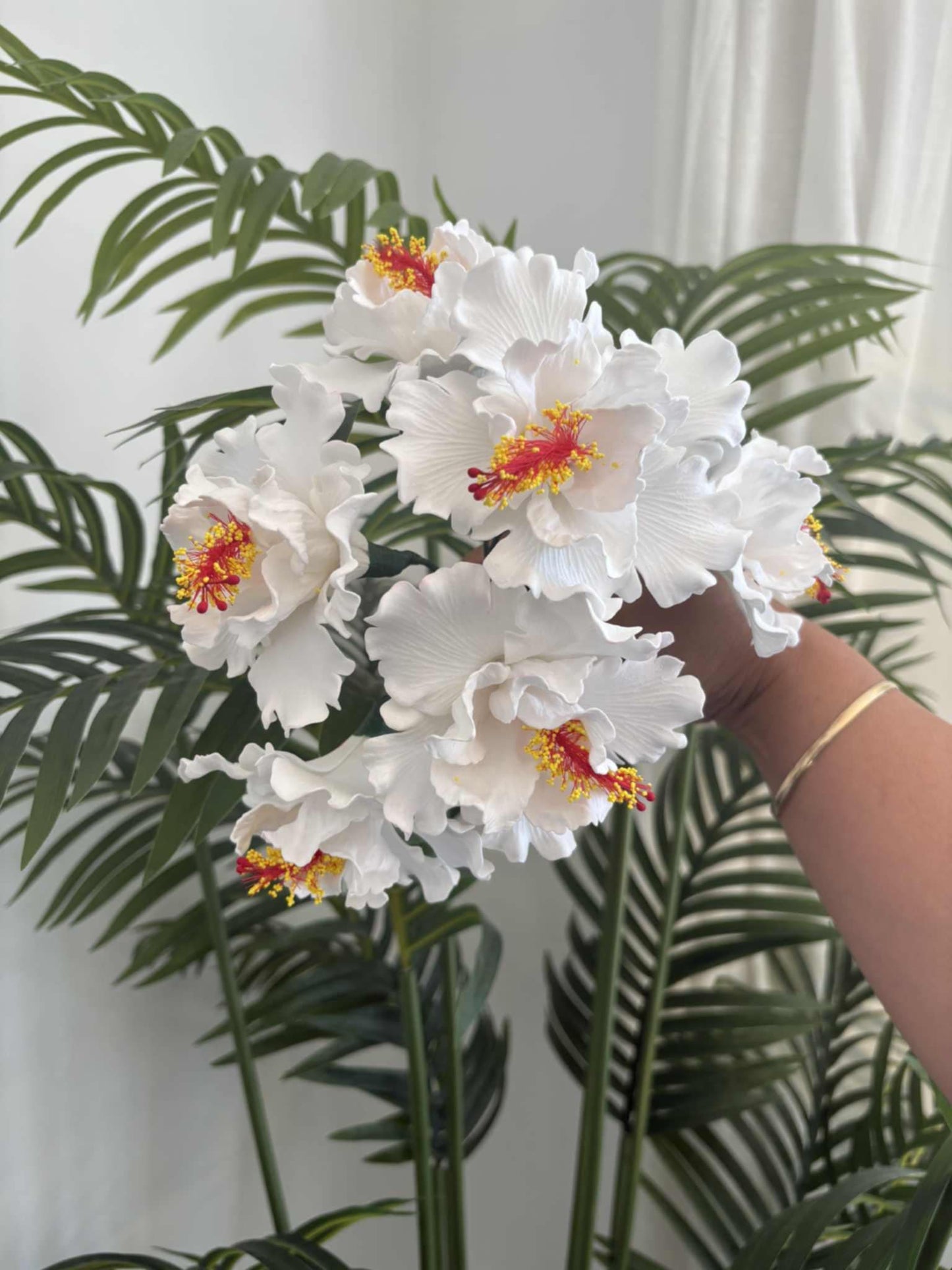 Double hibiscus sei