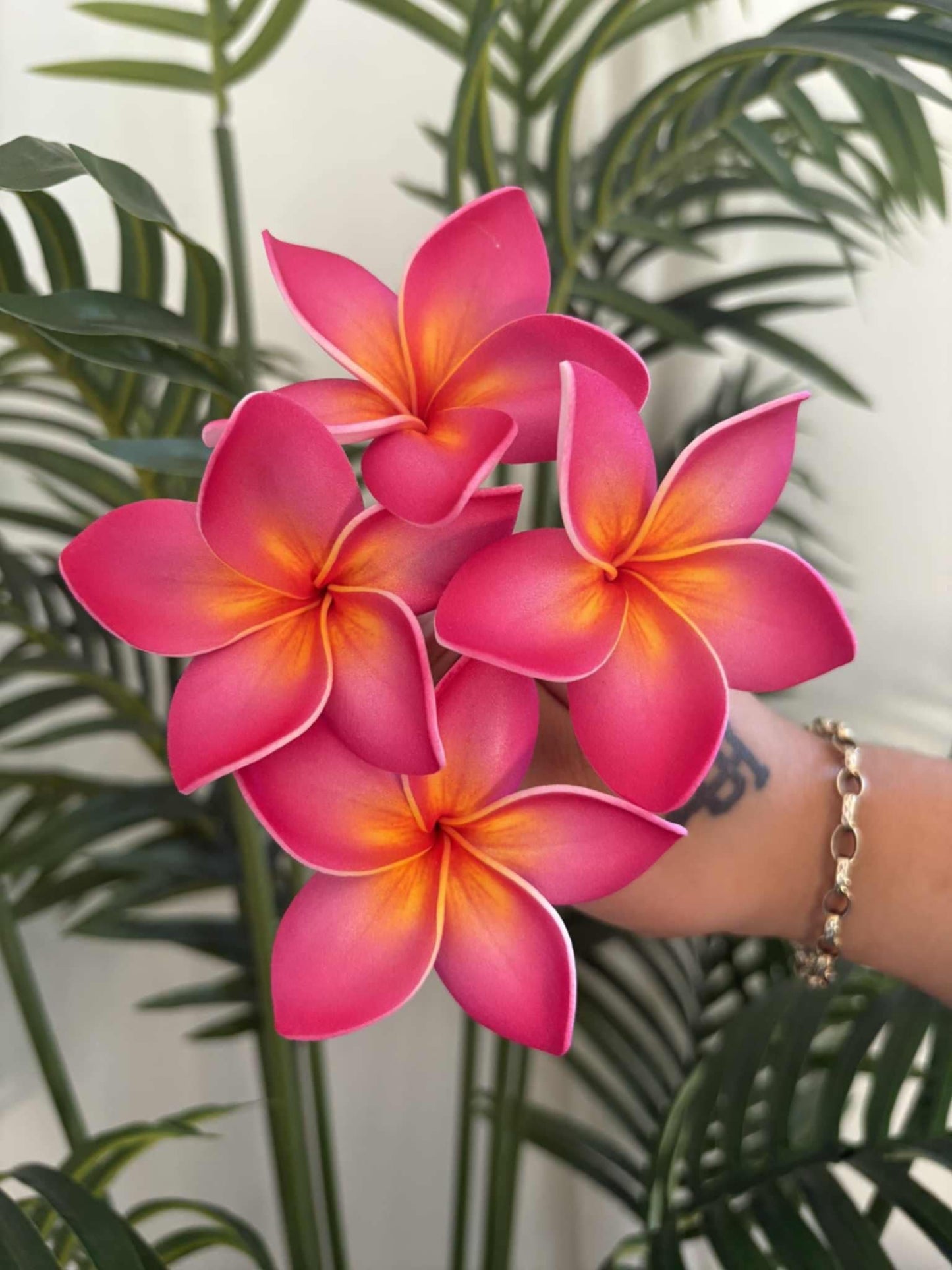 Plumeria sei (small)