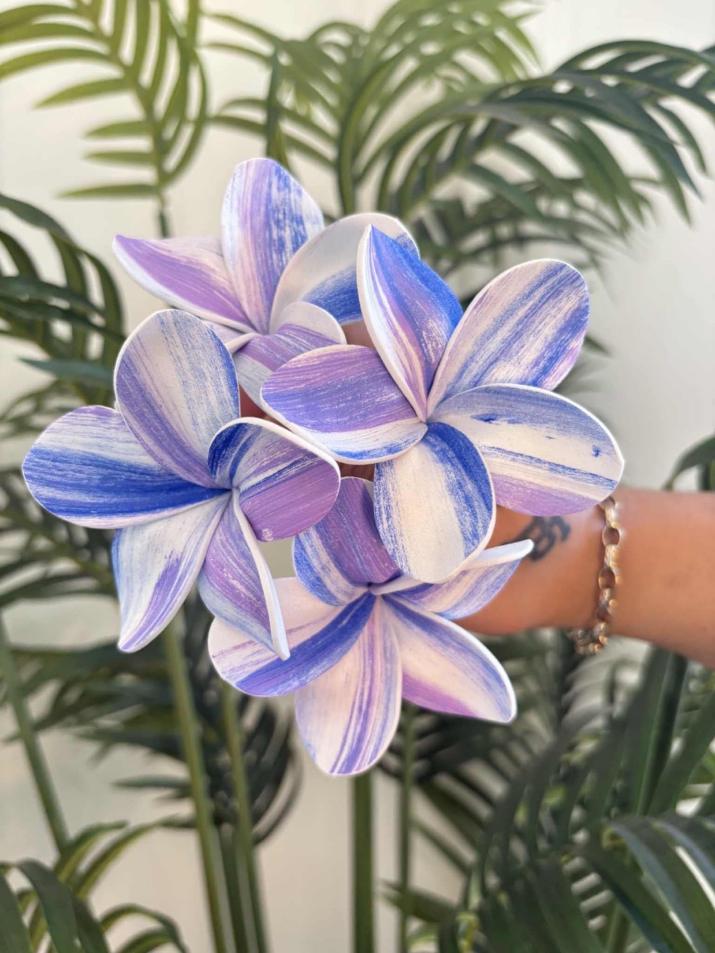 Plumeria sei (small)