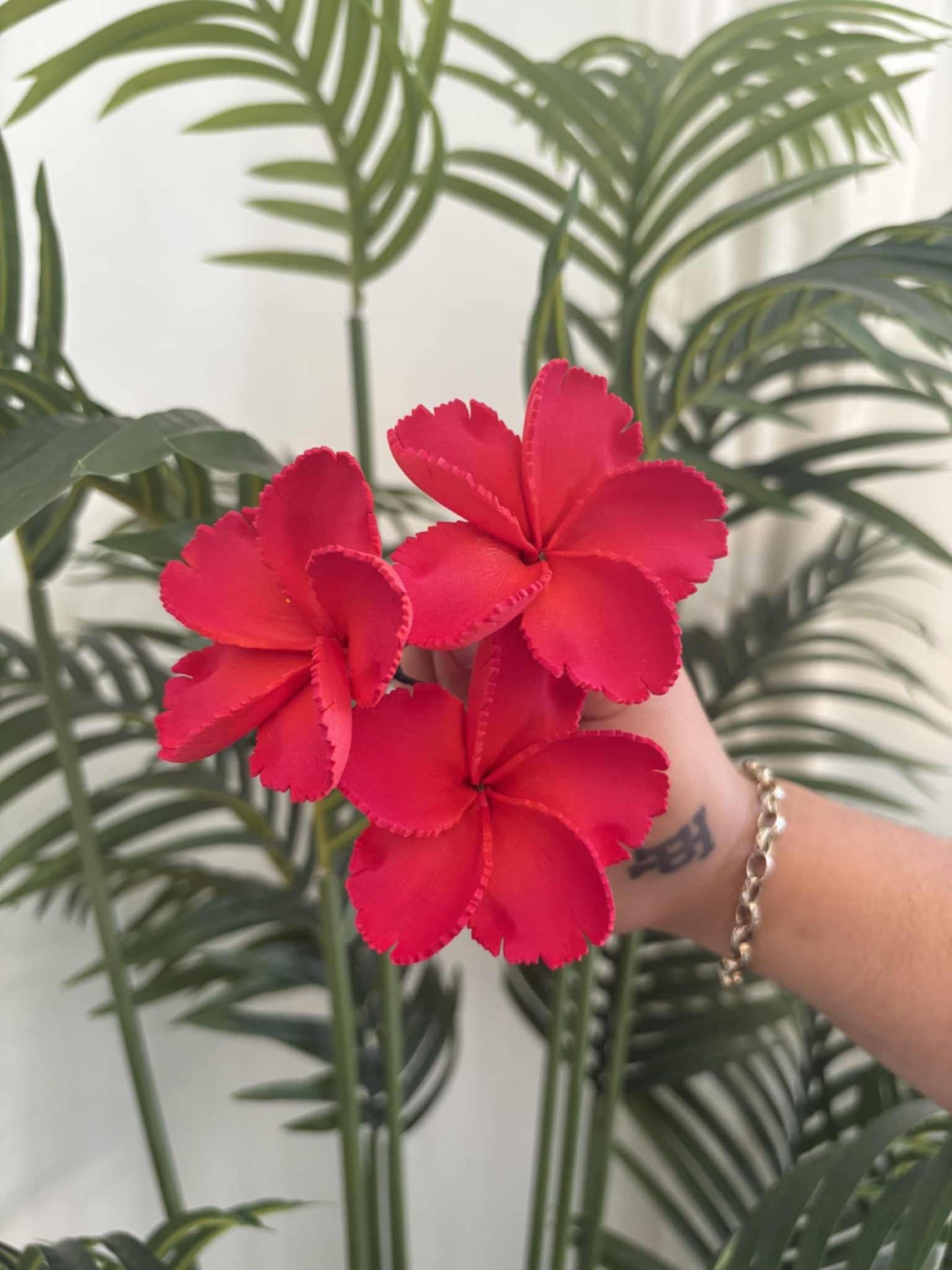 Plumeria sei (small)