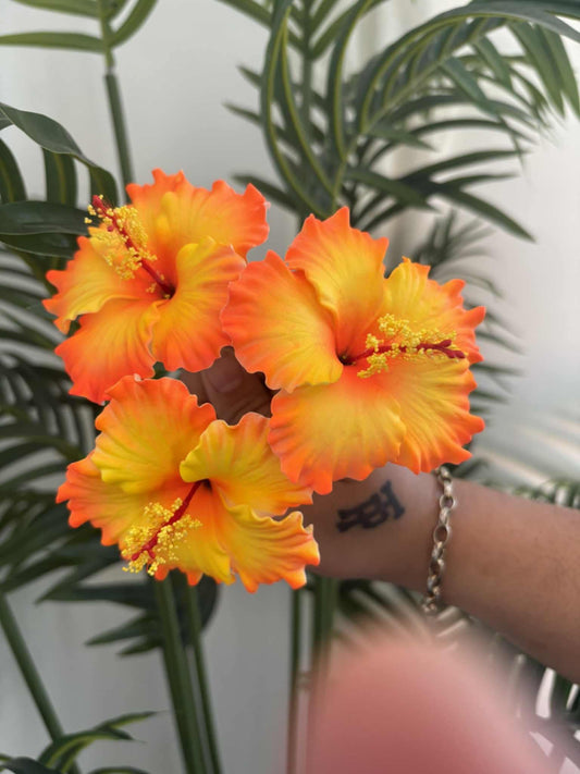Hibiscus sei (small)