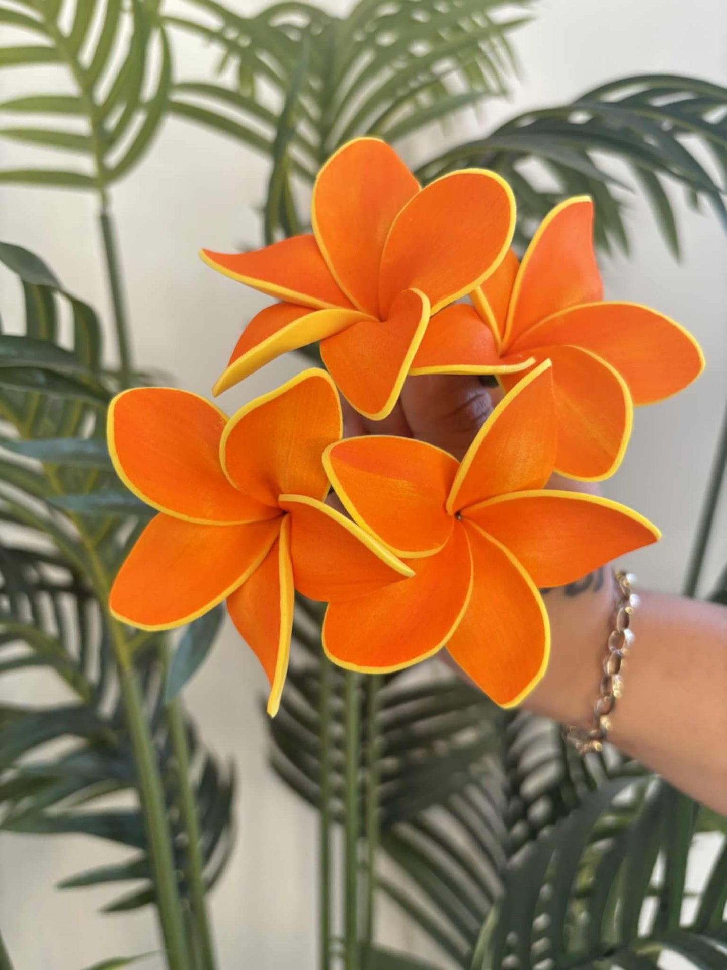 Plumeria sei (small)