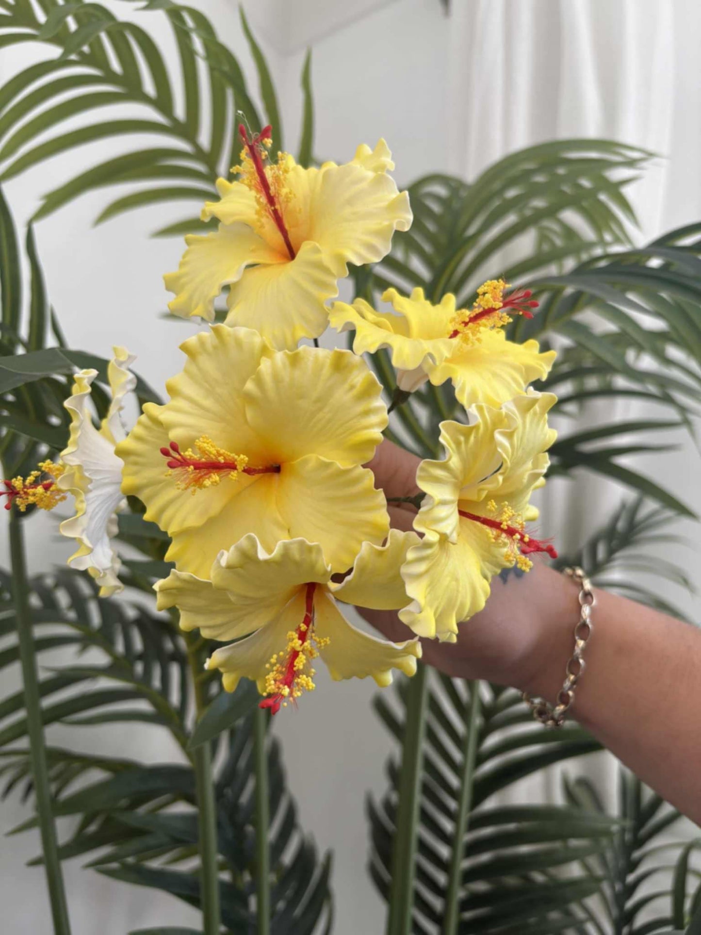 Hibiscus sei (small)