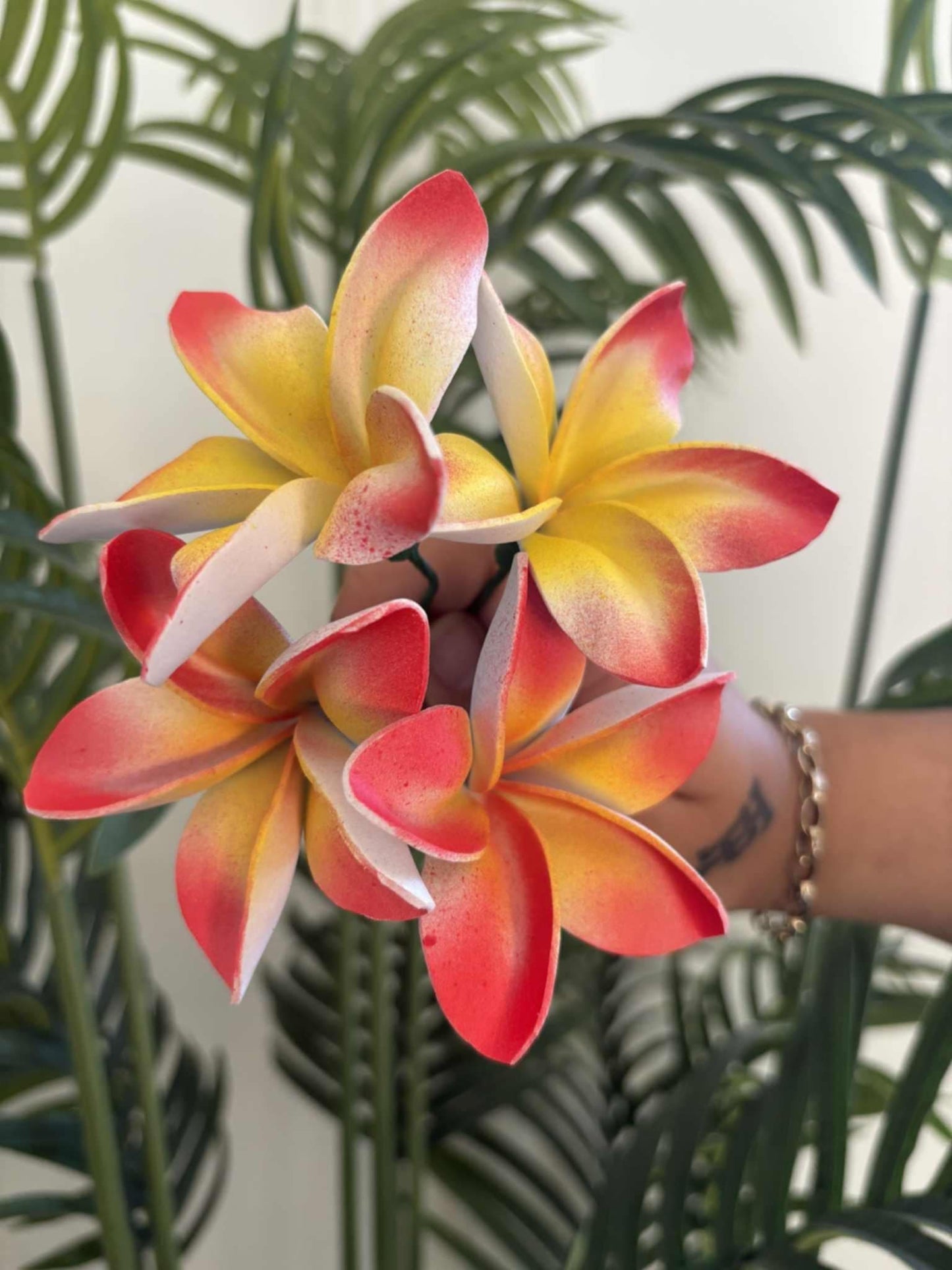 Plumeria sei (small)