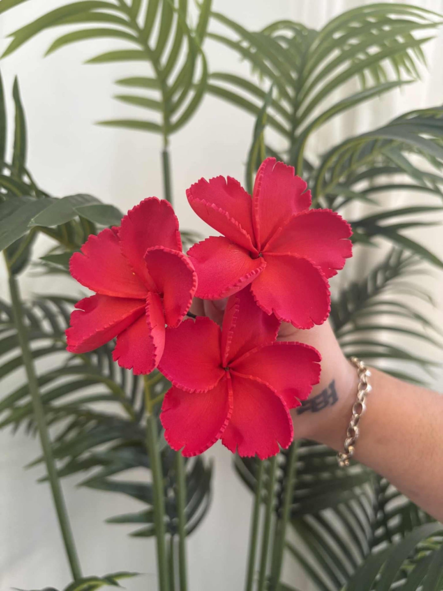 Plumeria sei (small)