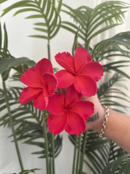 Plumeria sei (small)
